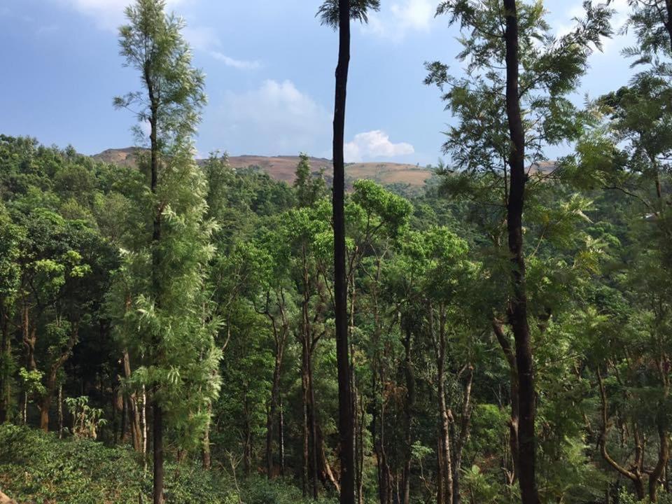 Cloud 9 Homestay Attigundi Bagian luar foto