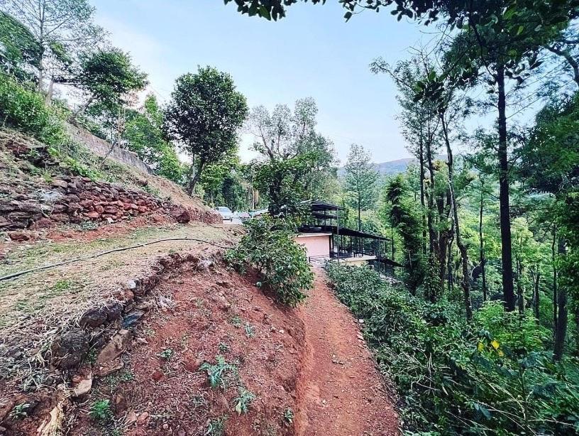 Cloud 9 Homestay Attigundi Bagian luar foto