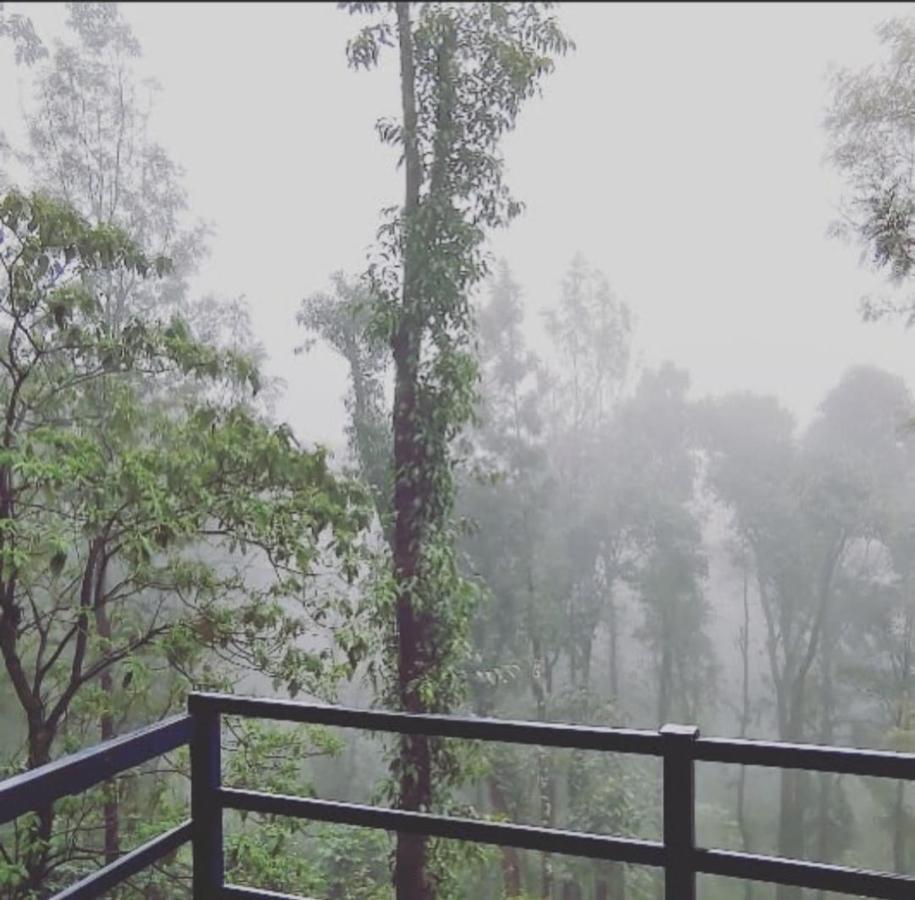 Cloud 9 Homestay Attigundi Bagian luar foto